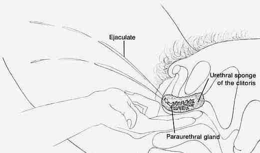 Female Ejaculation